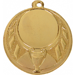 Медаль MMS453/G 45(25)
