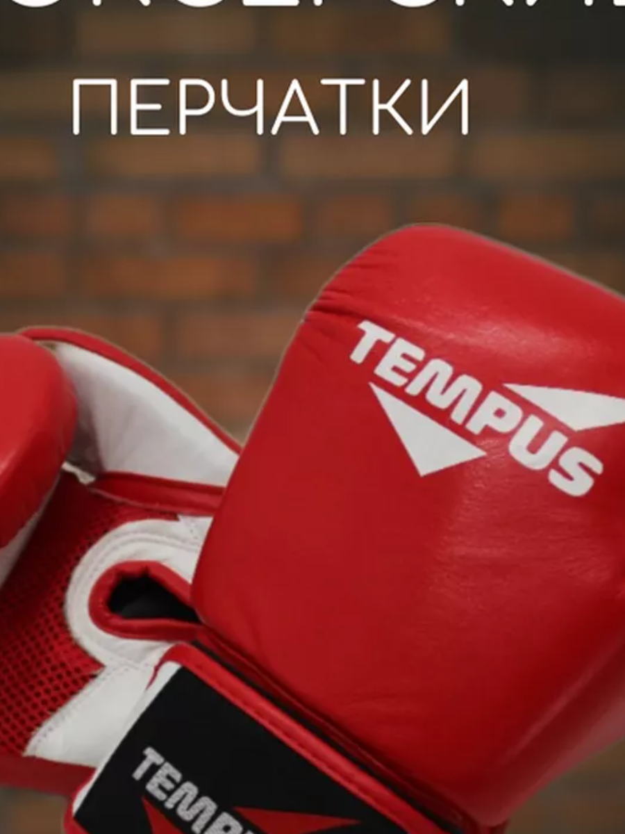 Перчатки боксерские Tempus 2412 нат.кожа