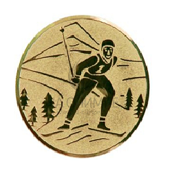 Вкладыш D1 A94/G лыжница